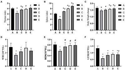 Compound small peptide of Chinese medicine alleviates cyclophosphamide induced immunosuppression in mice by Th17/Treg and jejunum intestinal flora